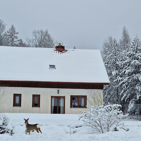 Villa Dom Na Pstraznicy Kudowa-Zdrój Exterior foto