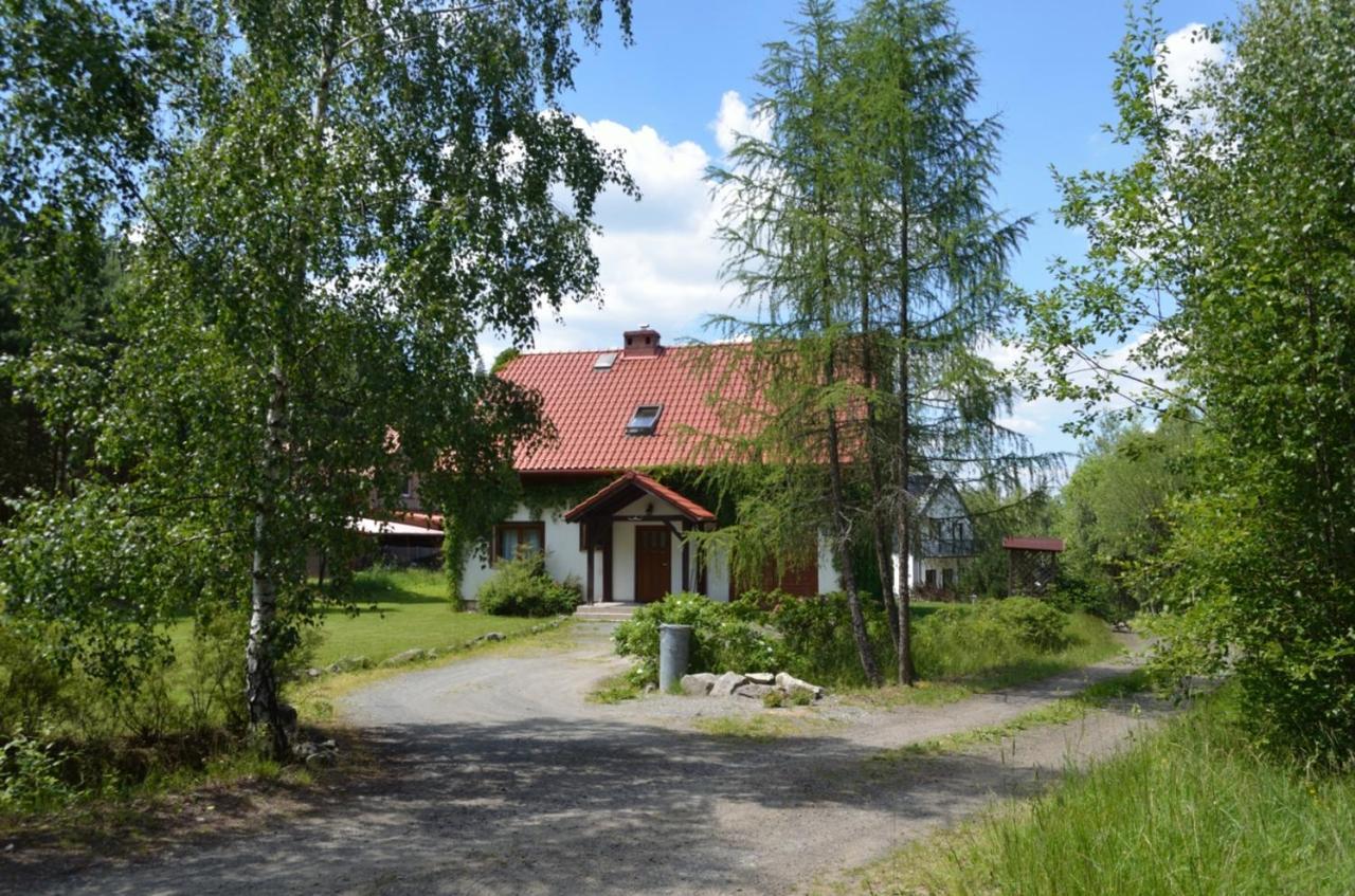 Villa Dom Na Pstraznicy Kudowa-Zdrój Exterior foto