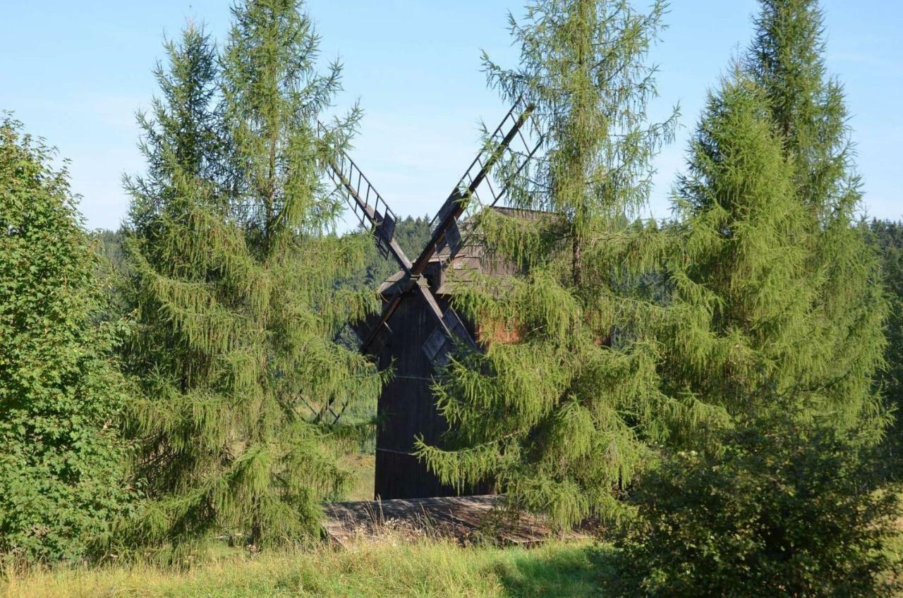 Villa Dom Na Pstraznicy Kudowa-Zdrój Exterior foto