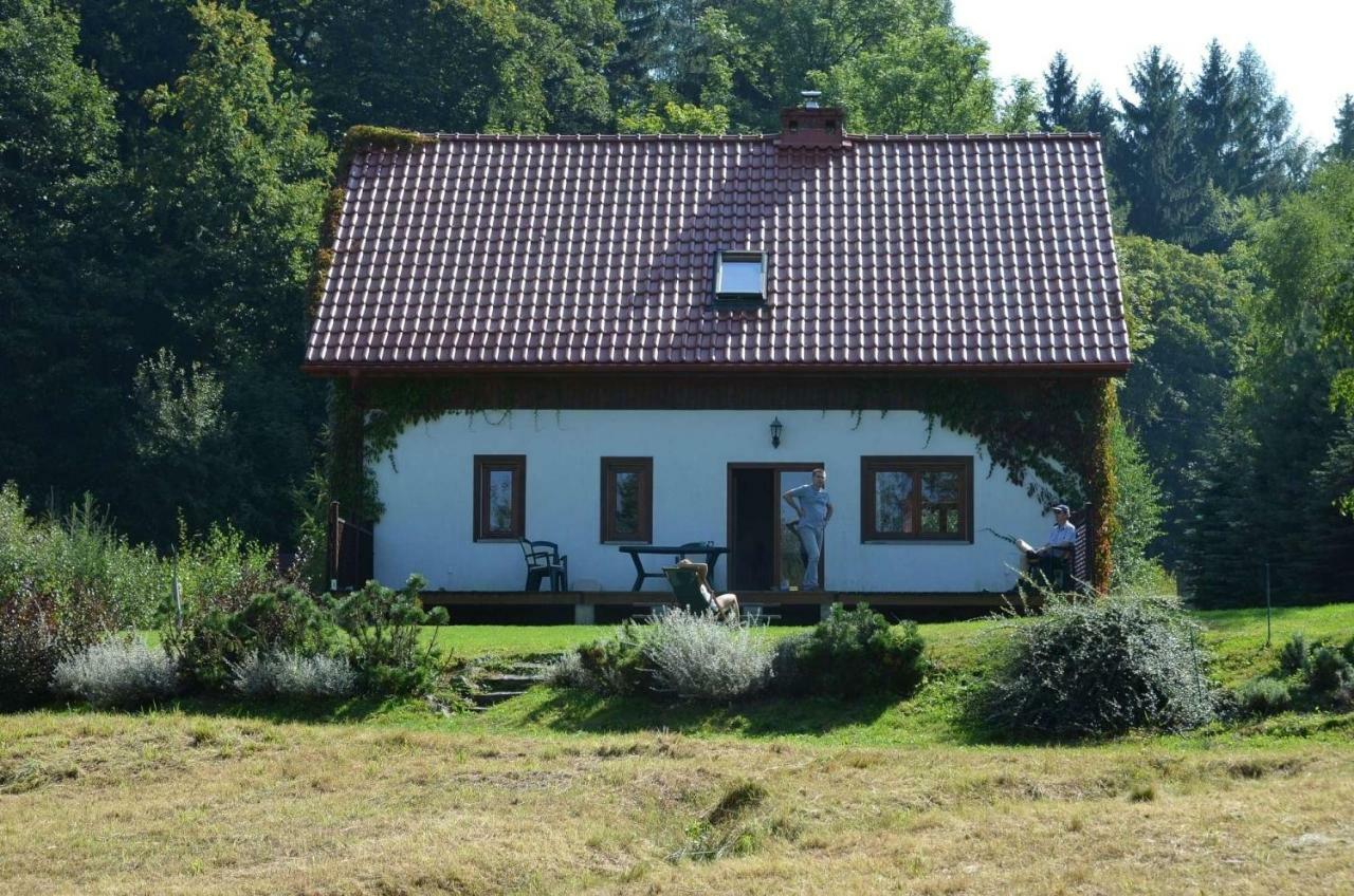 Villa Dom Na Pstraznicy Kudowa-Zdrój Exterior foto
