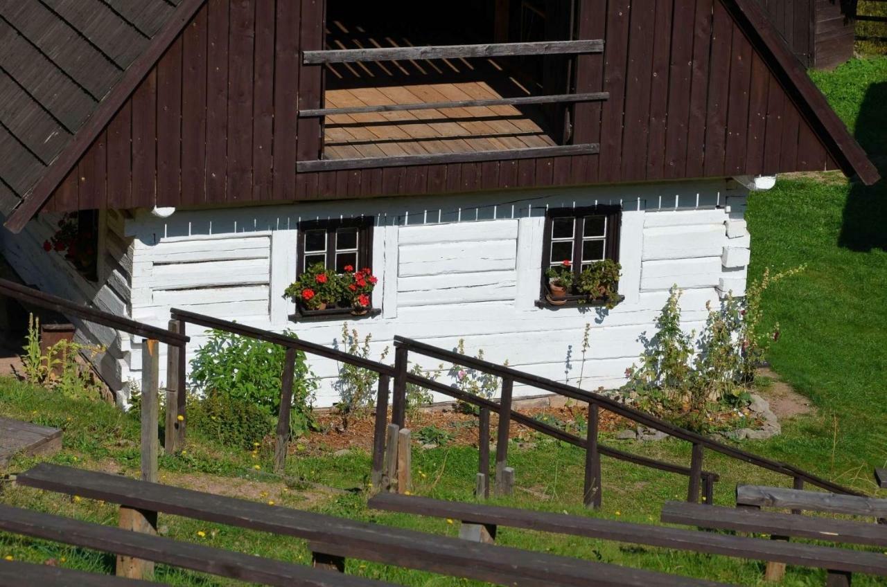 Villa Dom Na Pstraznicy Kudowa-Zdrój Exterior foto