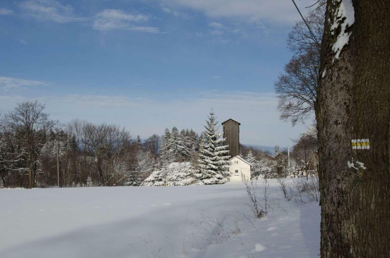 Villa Dom Na Pstraznicy Kudowa-Zdrój Exterior foto